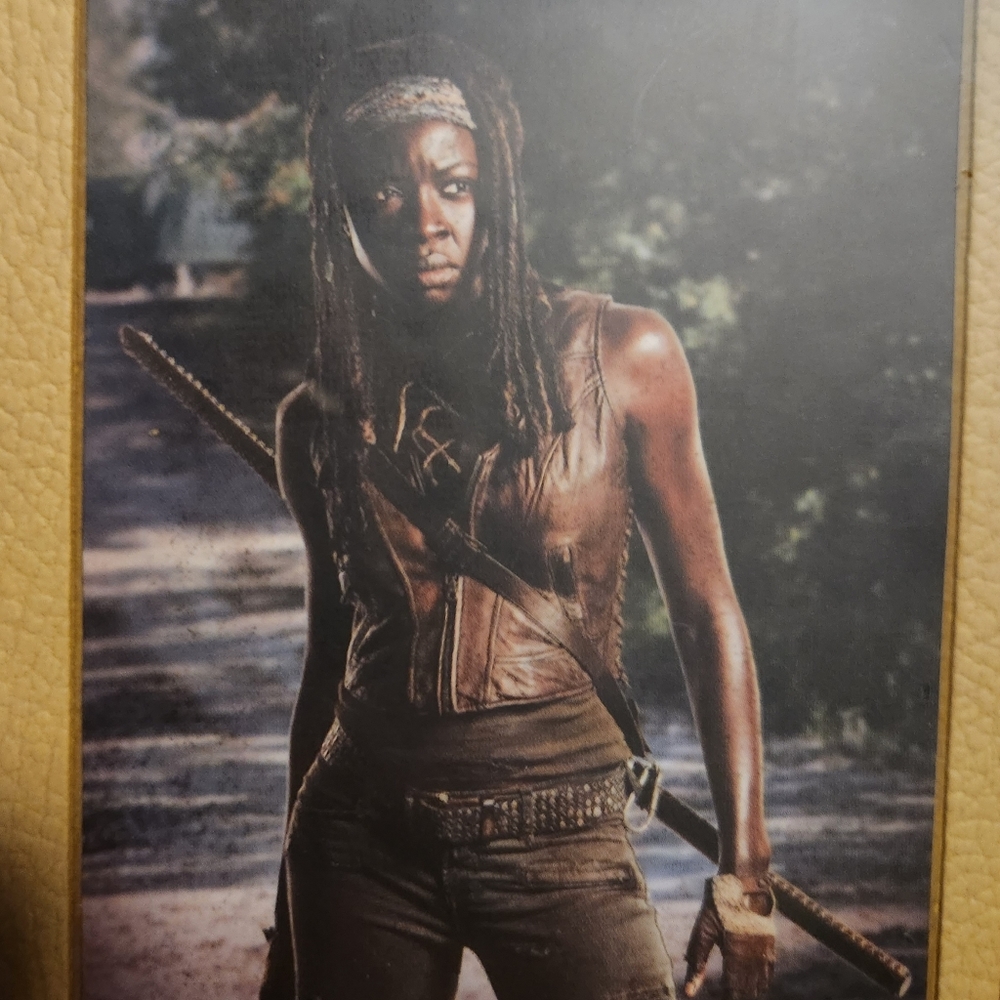 The Walking Dead Michone journel